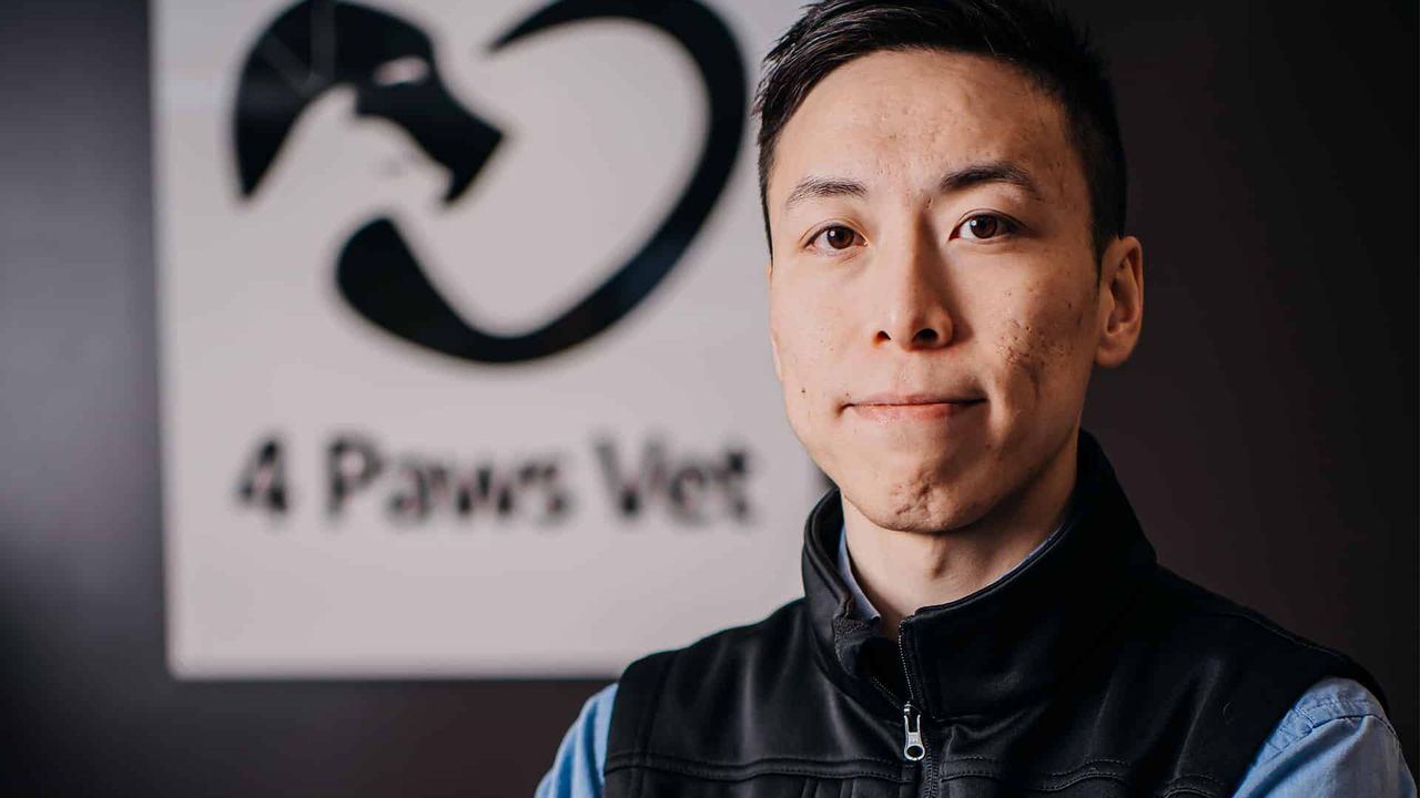 4 Paws Vet Clinic - pet taxi partner in Neutral Bay, NSW