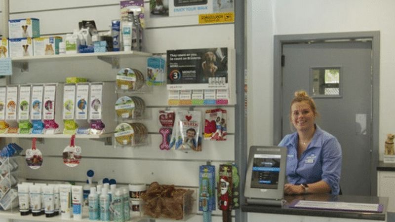 Sydney's Animal Hospital Avalon veterinary clinic in Avalon Beach, NSW