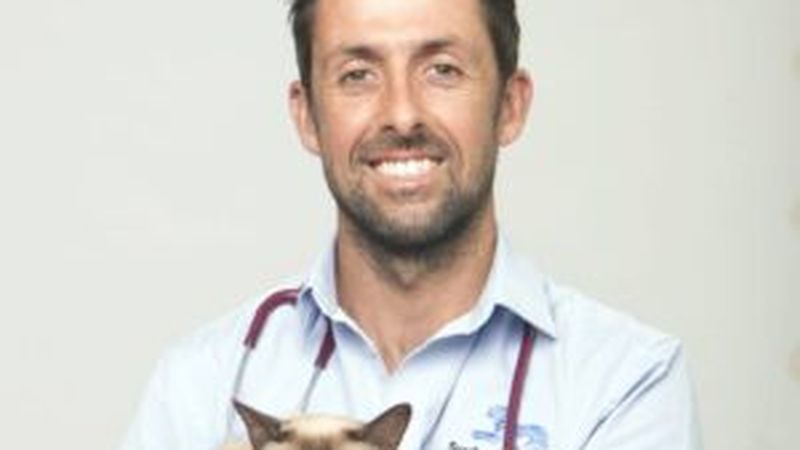 Team and facilities at Sydney's Animal Hospital Avalon
