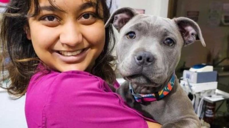 Belmont Veterinary Hospital veterinary clinic in Belmont, NSW