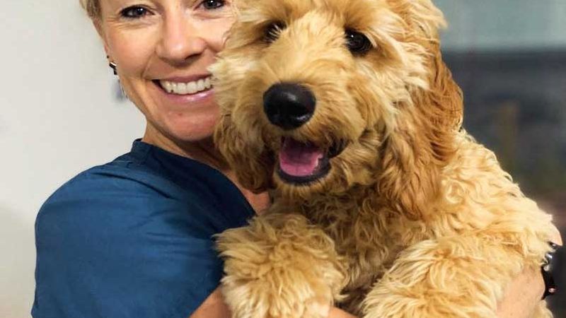 Belmont Veterinary Hospital pet care services in Belmont