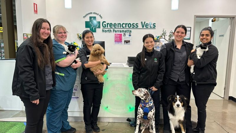 Greencross Vet North Parramatta veterinary clinic in North Parramatta, NSW