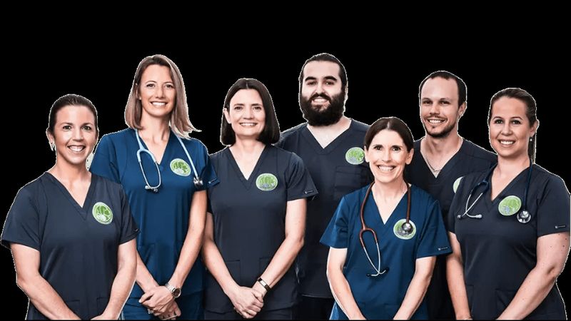 Matraville Veterinary Practice veterinary clinic in Matraville, NSW
