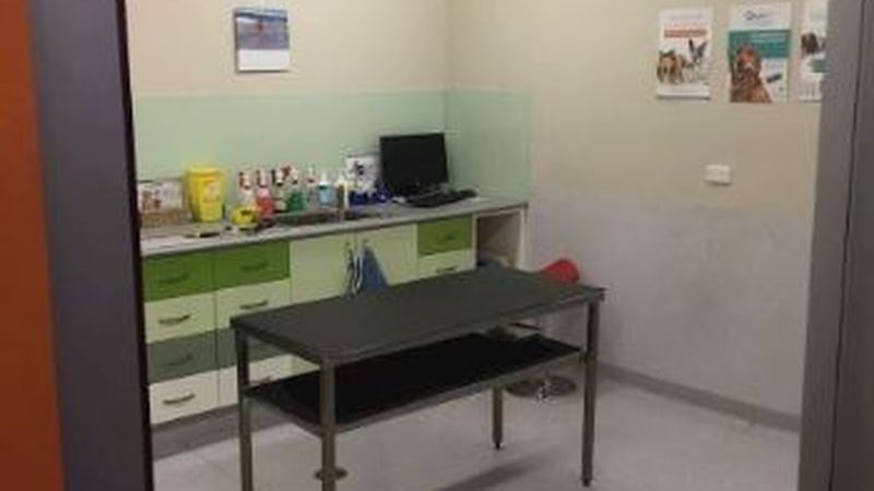 McGraths Hill Veterinary Centre veterinary clinic in Vineyard, NSW