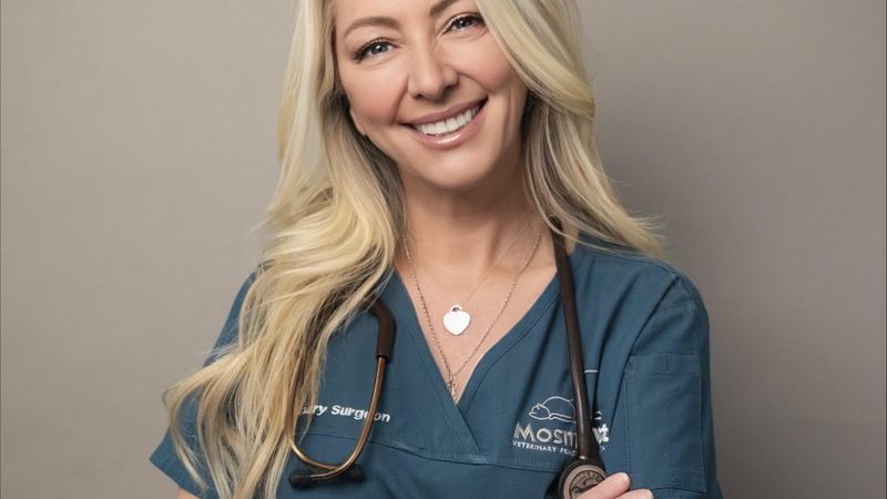 Team and facilities at Mosman Veterinary Hospital