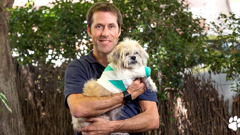 Normanhurst Vet pet care services in Normanhurst