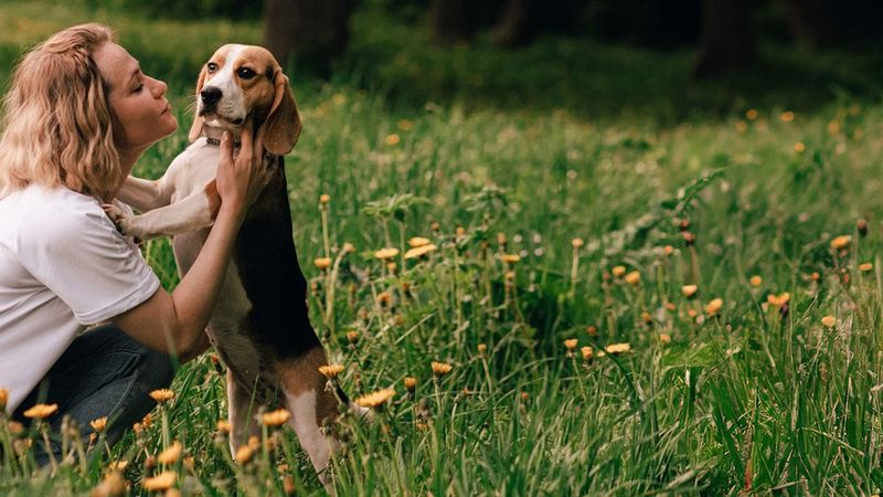 North Rocks Veterinary Hospital veterinary clinic in North Rocks, NSW