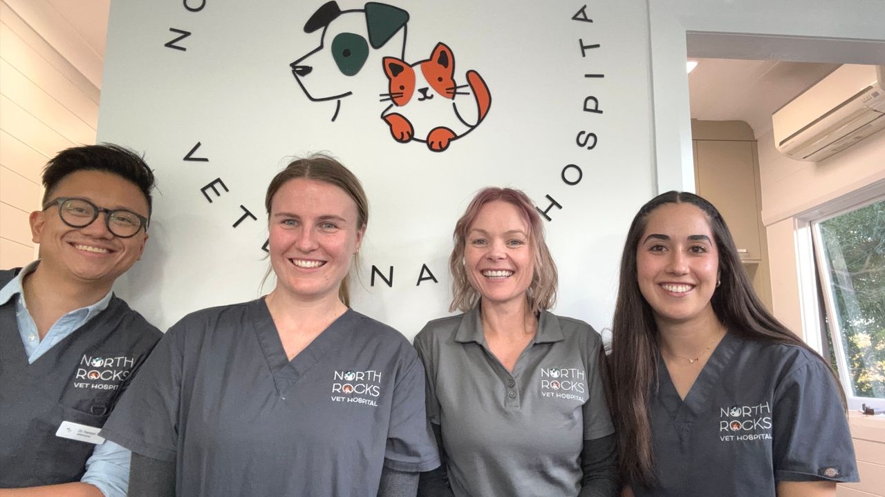 North Rocks Veterinary Hospital - pet taxi partner in North Rocks, NSW