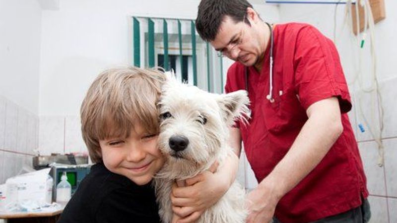 Palette Studio grooming studio in Drummoyne, NSW