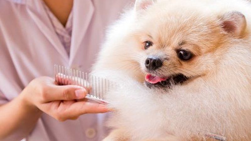 Team and facilities at Palette Studio