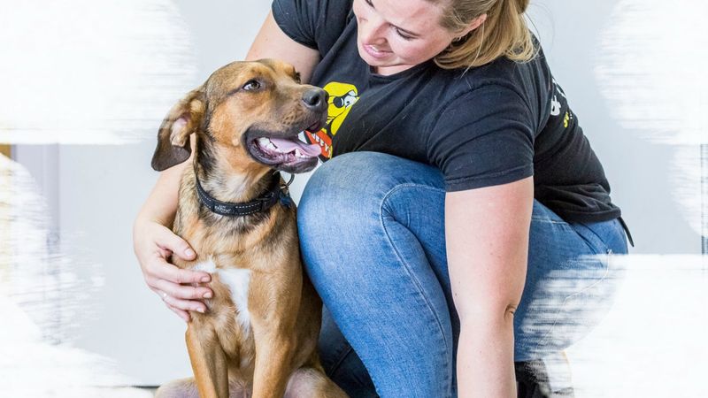 Team and facilities at Scruffy's