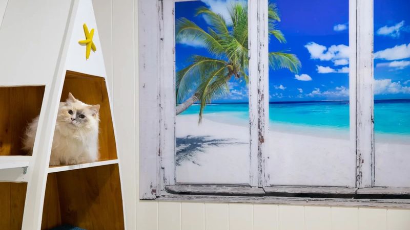 Seaforth Veterinary Hospital veterinary clinic in Seaforth, NSW