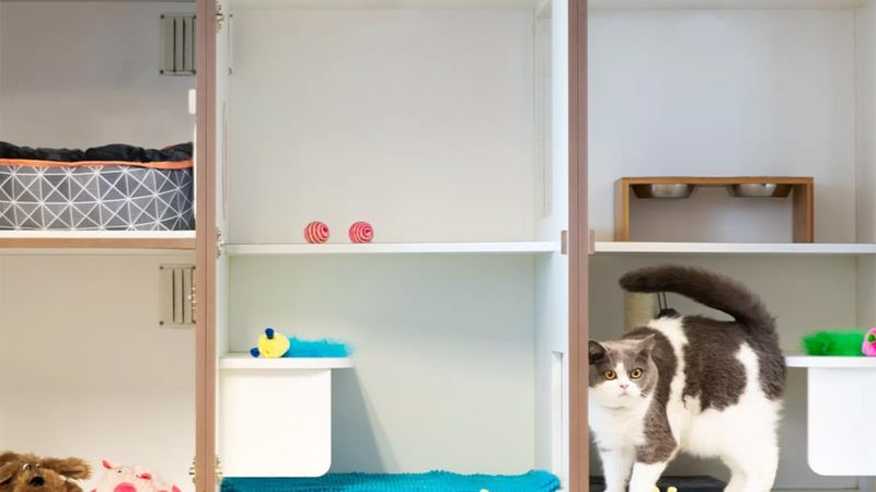 Team and facilities at Seaforth Veterinary Hospital