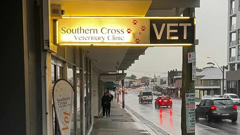 Southern Cross Vet St Peters veterinary clinic in St Peters, NSW