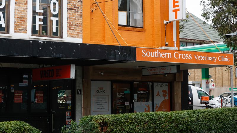 Southern Cross Vet Surry Hills veterinary clinic in Redfern, NSW