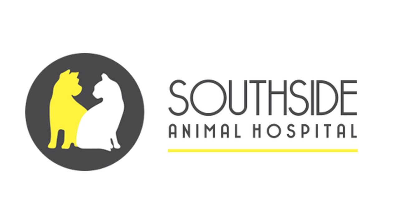 Southside Animal Hospital Cronulla - pet taxi partner in Cronulla, NSW