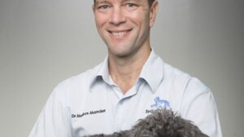Team and facilities at Sydney Animal Hospital