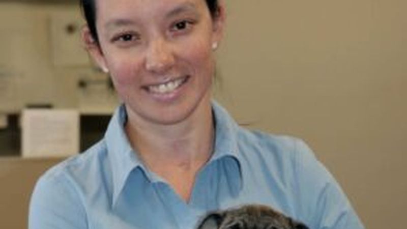 Sydney Animal Hospital pet care services in Bella Vista