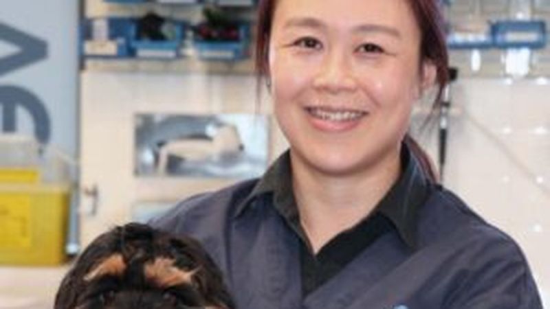 Inside Sydney Animal Hospital, Bella Vista