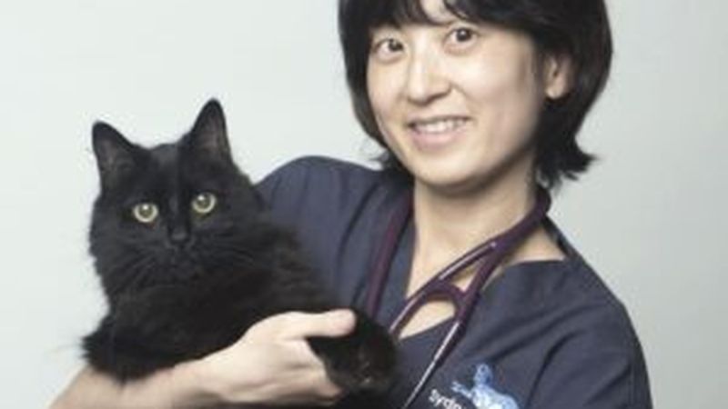 Sydney Animal Hospitals Bellavista pet care services in Bella Vista