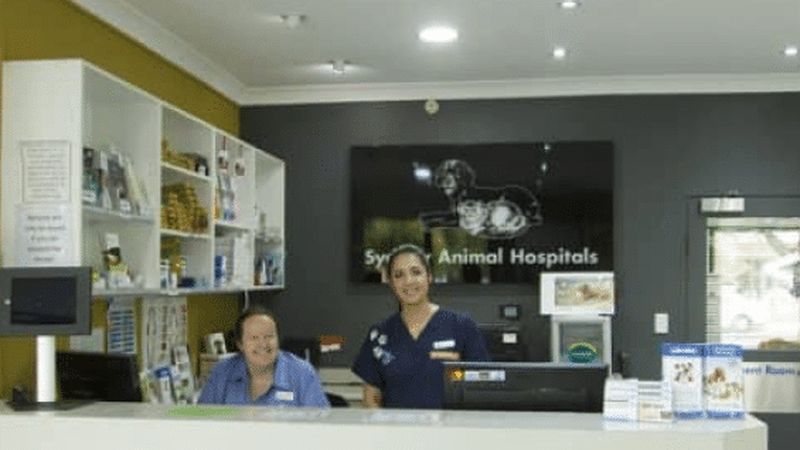 Sydney Animal Hospitals Newtown veterinary clinic in Erskineville, NSW
