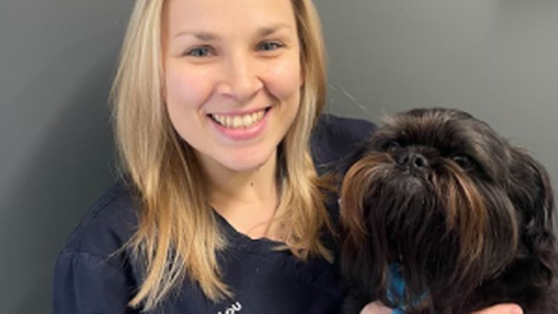 Team and facilities at Sydney Animal Hospitals Newtown