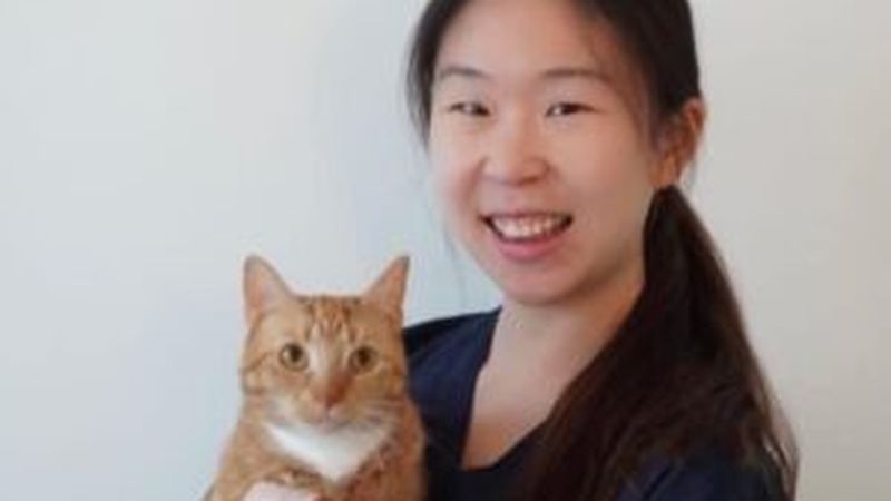 Sydney Animal Hospitals Newtown pet care services in Erskineville