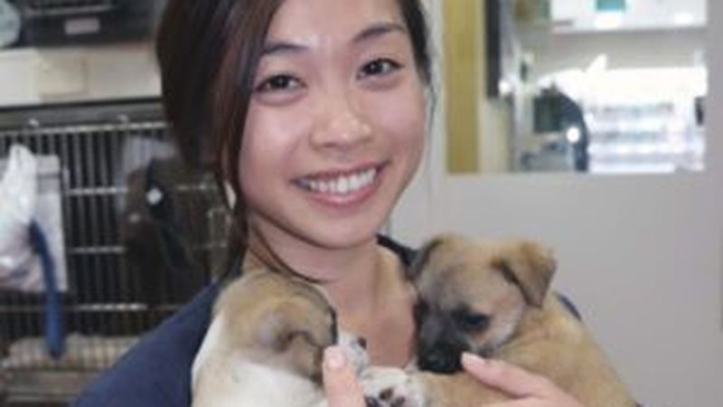 Inside Sydney Animal Hospitals Newtown, Erskineville