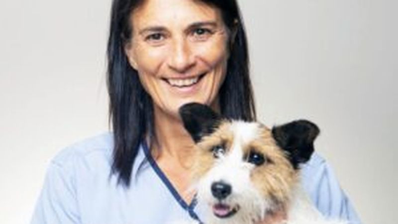 Team and facilities at Sydney Animal Hospitals Stanmore