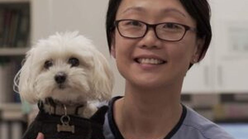 Sydney Animal Hospitals Stanmore pet care services in Stanmore