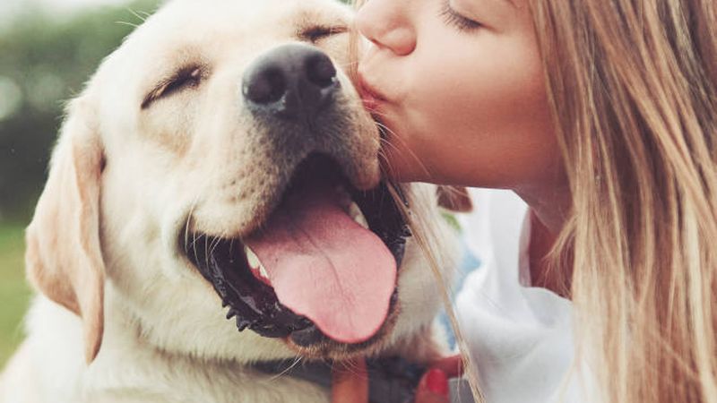 The Beaches Vet veterinary clinic in Manly Vale, NSW