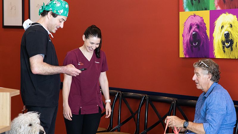 Vet HQ Darlinghurst veterinary clinic in Darlinghurst, NSW