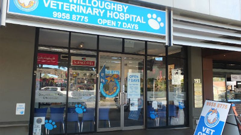 Willoughby Vet Hospital veterinary clinic in Willoughby, NSW